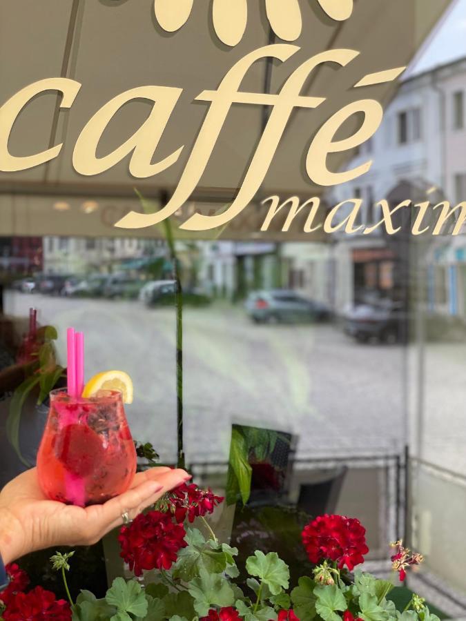 Hotel Maxim Frýdek-Místek Екстериор снимка